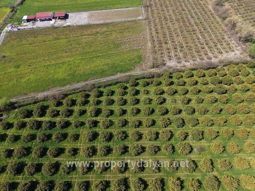 17.550m2 Vineyard-bahce For Sale Close To Dalyan Center