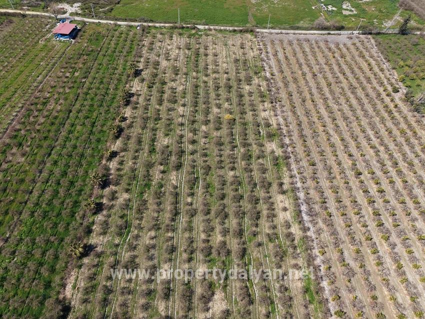 16.710m2 Pomegranate Garden For Sale With Lake View In Eskiköy