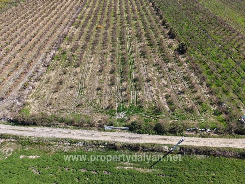 16.710m2 Pomegranate Garden For Sale With Lake View In Eskiköy