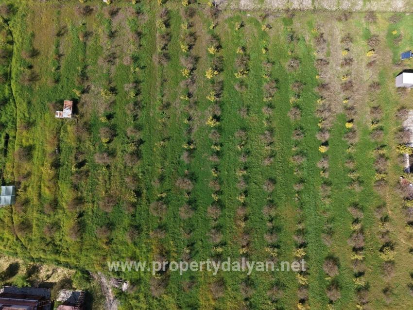 Tourism-oriented Business For Sale On An 11,000 M2 Plot Of Land In Eskiköy.