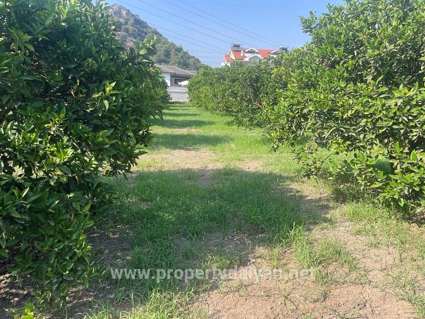722m2 Land For Sale In Dalyan Gülpınar