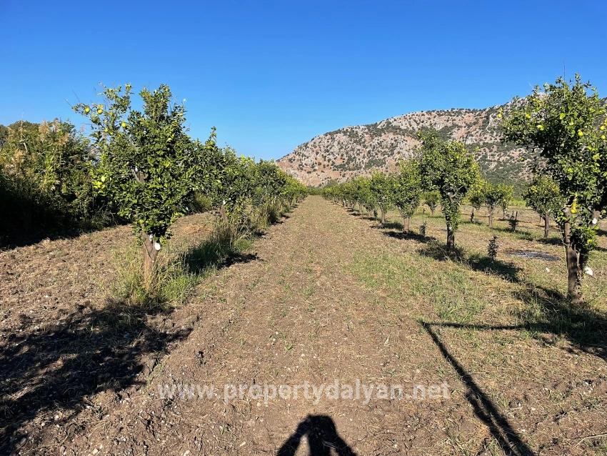 6600m2 Plot Of Land For Sale Near The Center Of Dalyan.