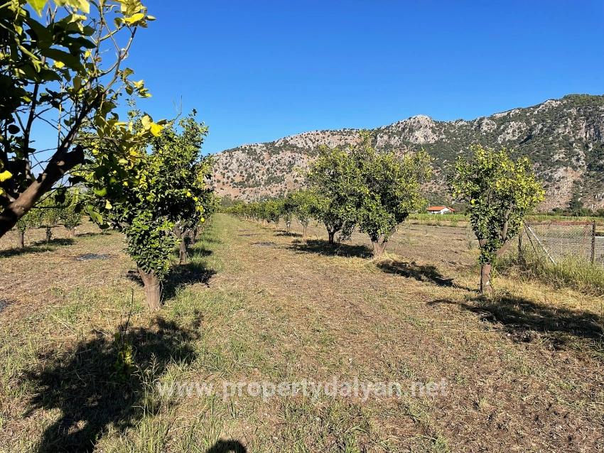 6600m2 Plot Of Land For Sale Near The Center Of Dalyan.