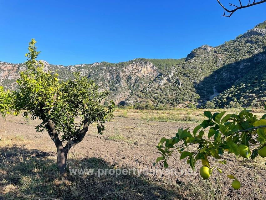 6600m2 Plot Of Land For Sale Near The Center Of Dalyan.