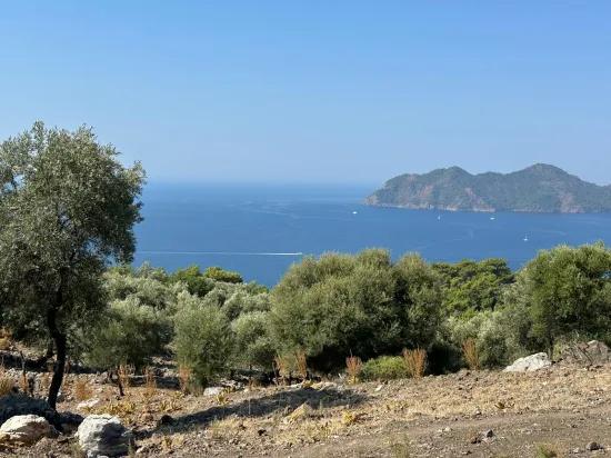 Field with sea view, 21.000 m2, 2b, for sale In Çandır