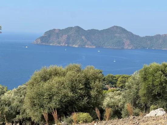 Field with sea view, 21.000 m2, 2b, for sale In Çandır