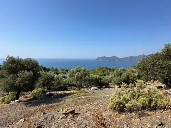 Field with sea view, 21.000 m2, 2b, for sale In Çandır
