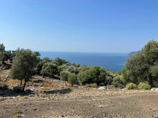 Field with sea view, 21.000 m2, 2b, for sale In Çandır