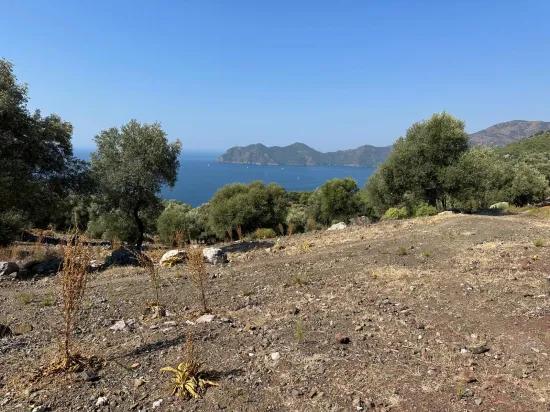 Field with sea view, 21.000 m2, 2b, for sale In Çandır