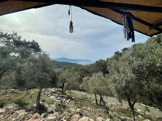 Köyceğiz Ekincik sea view 7.000m2 2b for sale olive grove