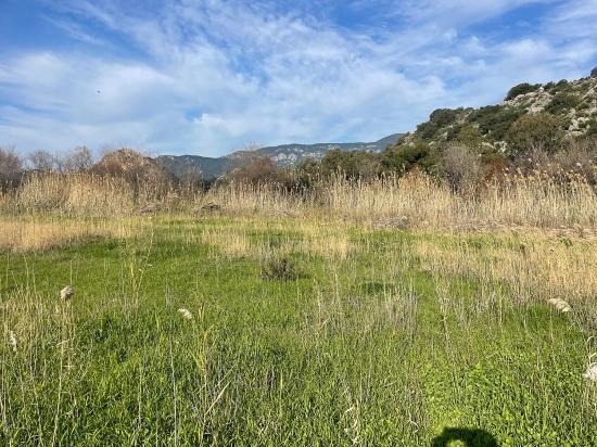 6800 M2 Plot Of Land For Sale In Dalyan With 5% Residential Zoning.