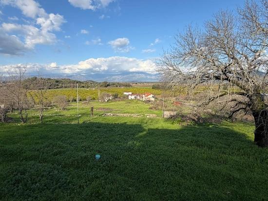 11,230 M² Plot Of Land For Sale In Dalyan With Lake View.