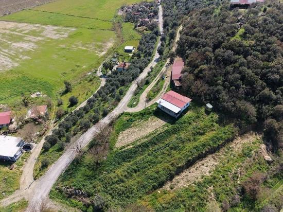 16.710m2 Pomegranate Garden For Sale With Lake View In Eskiköy