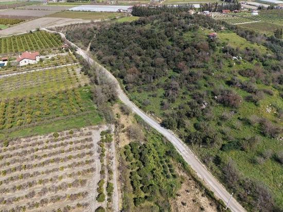 16.710m2 Pomegranate Garden For Sale With Lake View In Eskiköy