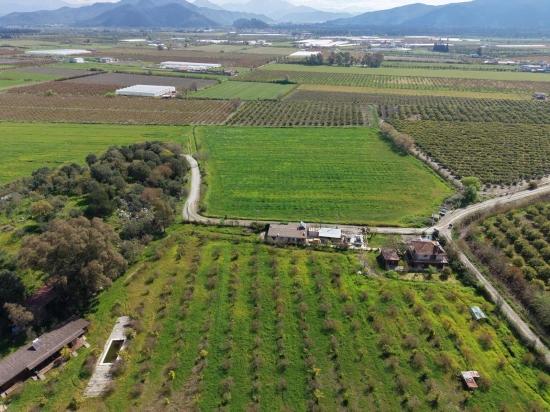 Tourism-oriented Business For Sale On An 11,000 M2 Plot Of Land In Eskiköy.