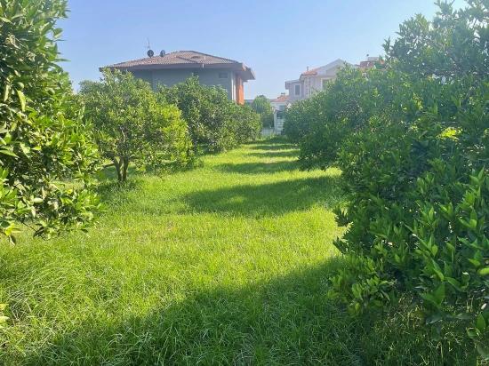 722m2 Land For Sale In Dalyan Gülpınar