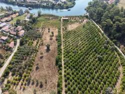 Field For sale in Çandır Nbh. Köyceğiz - Field Zoned - 20.000 m²