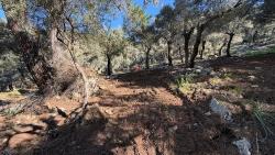 Field For sale in Çandır Nbh. Köyceğiz - Housing Zoned - 5.715 m²