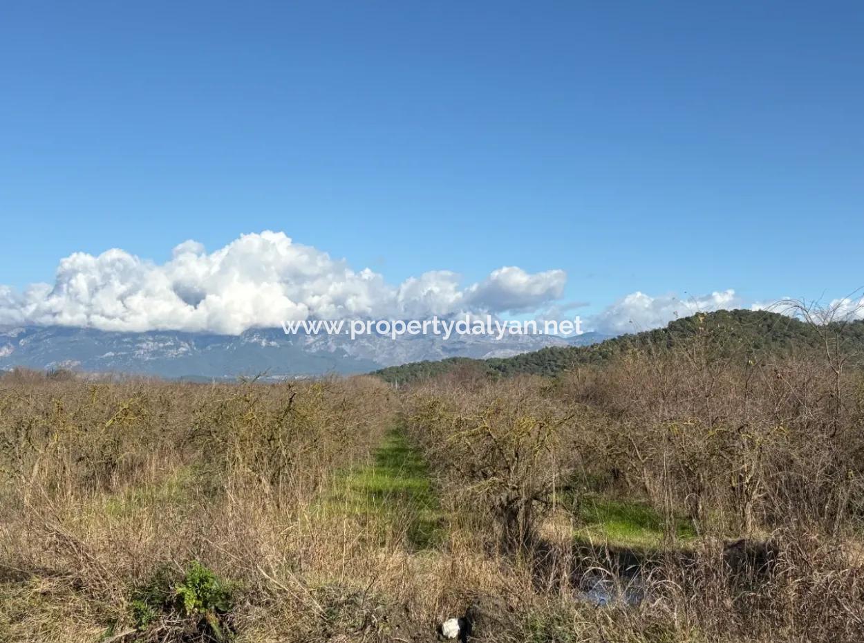 23,000M2 Detached Field Garden For Sale In Tepearasin,