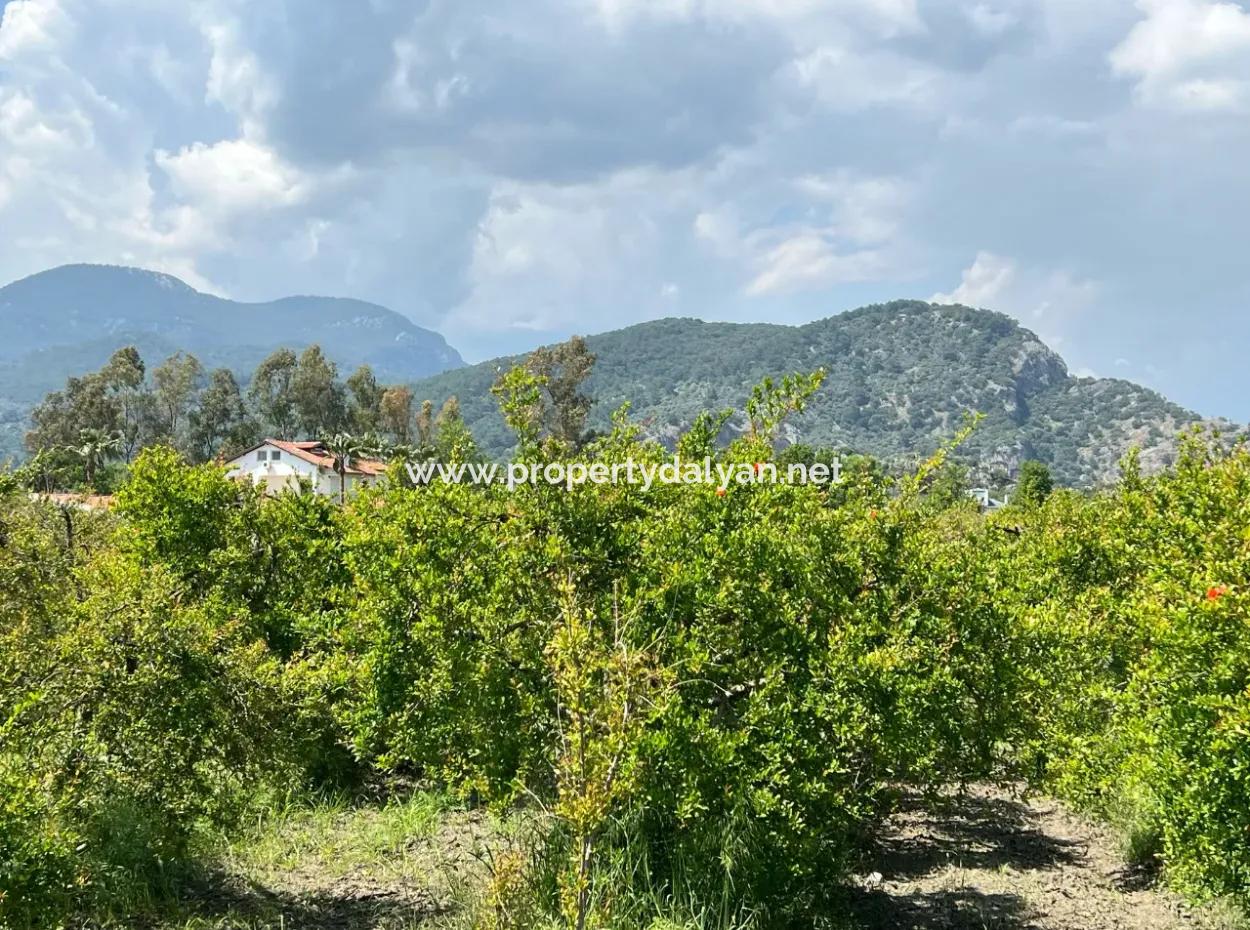 5,100M2 Land For Sale In Dalyan Maraş Area With 5% Residential Zoning