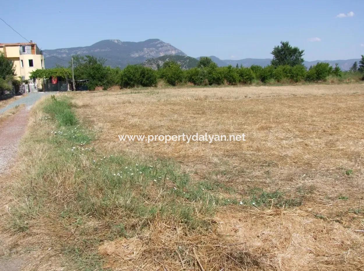 Plot For Sale On The Corner Of 540M2 In Okcular