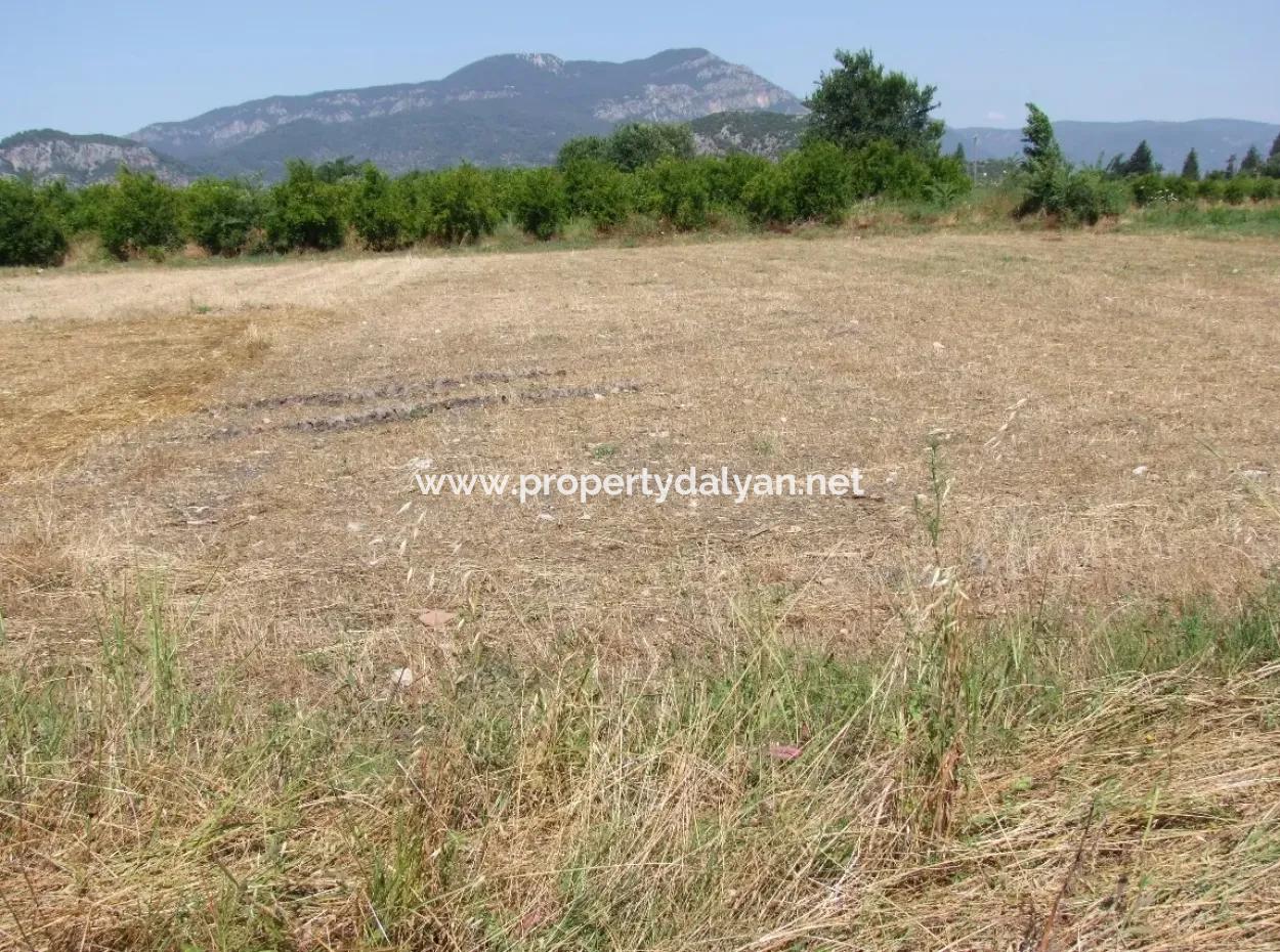 Plot For Sale On The Corner Of 540M2 In Okcular