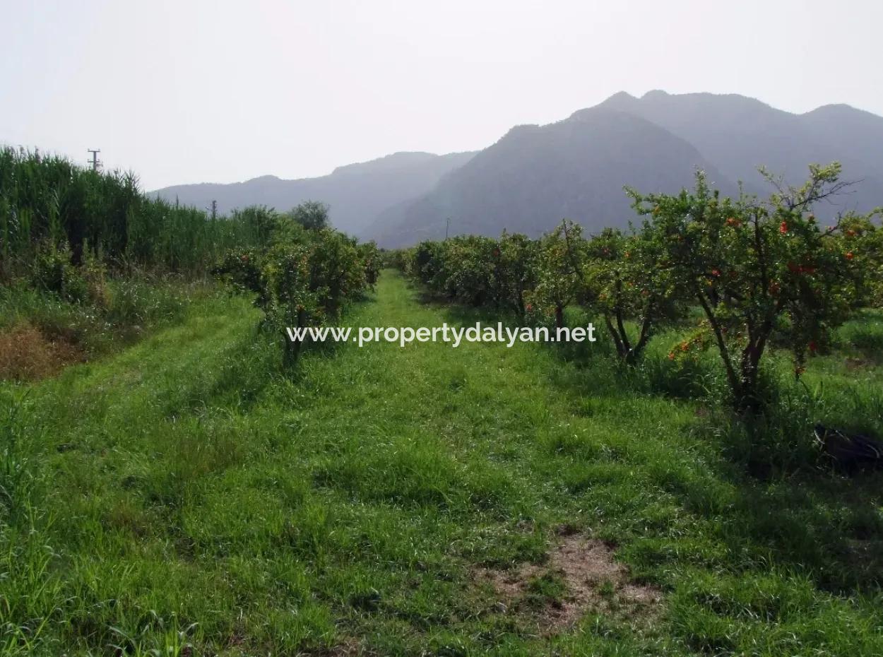 Merkez Dalyan Iztuzu Lake Garden Villa For Sale