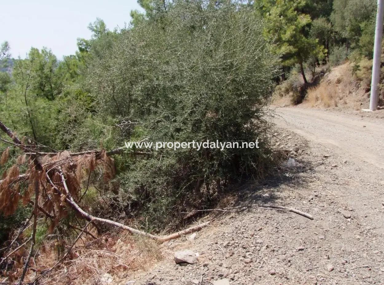 For Sale Land Also With Full Sea View For Sale In Sarigerme Land For Sale