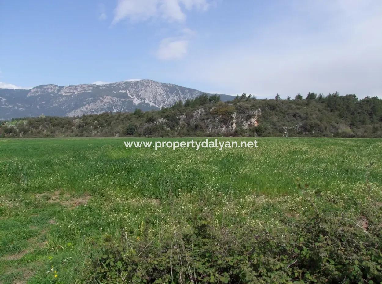 In Akyaka For Sale: Land For Sale Farm For Sale A Farm Near The Sea Of Ars, Yatirimlik 21625M2