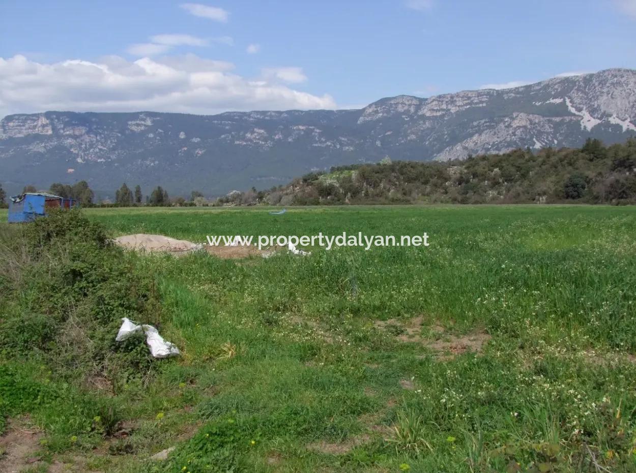 In Akyaka For Sale: Land For Sale Farm For Sale A Farm Near The Sea Of Ars, Yatirimlik 21625M2