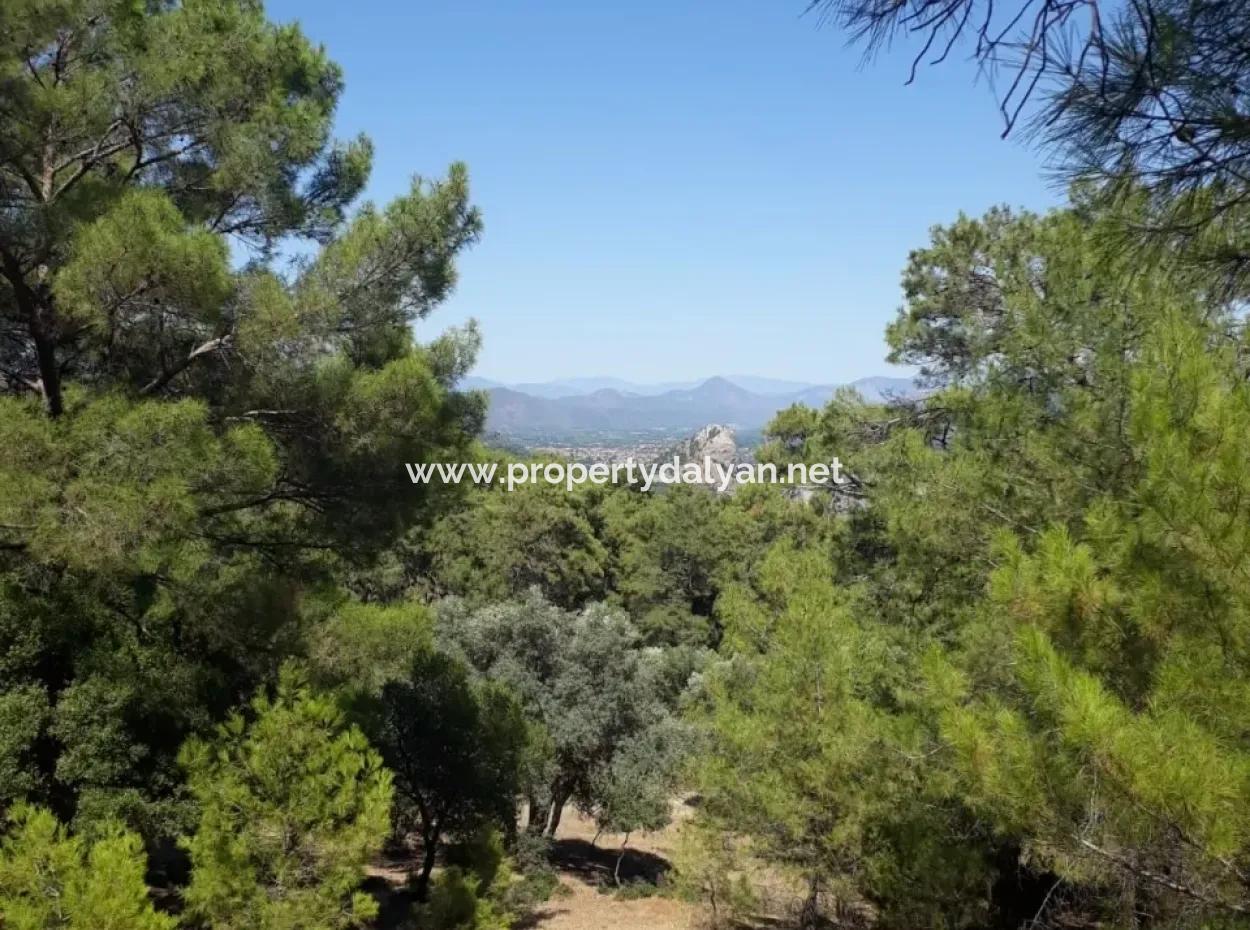 Dalyan Iztuzu In Dalyan For Sale For Sale In Candır 2367M2 2B