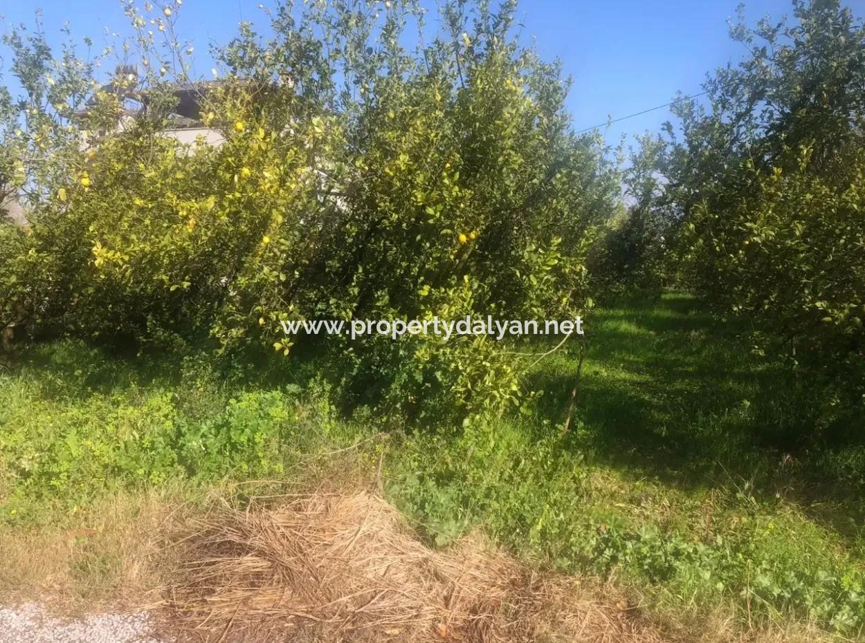 Raiders 803M2 Land For Sale In Plot For Sale