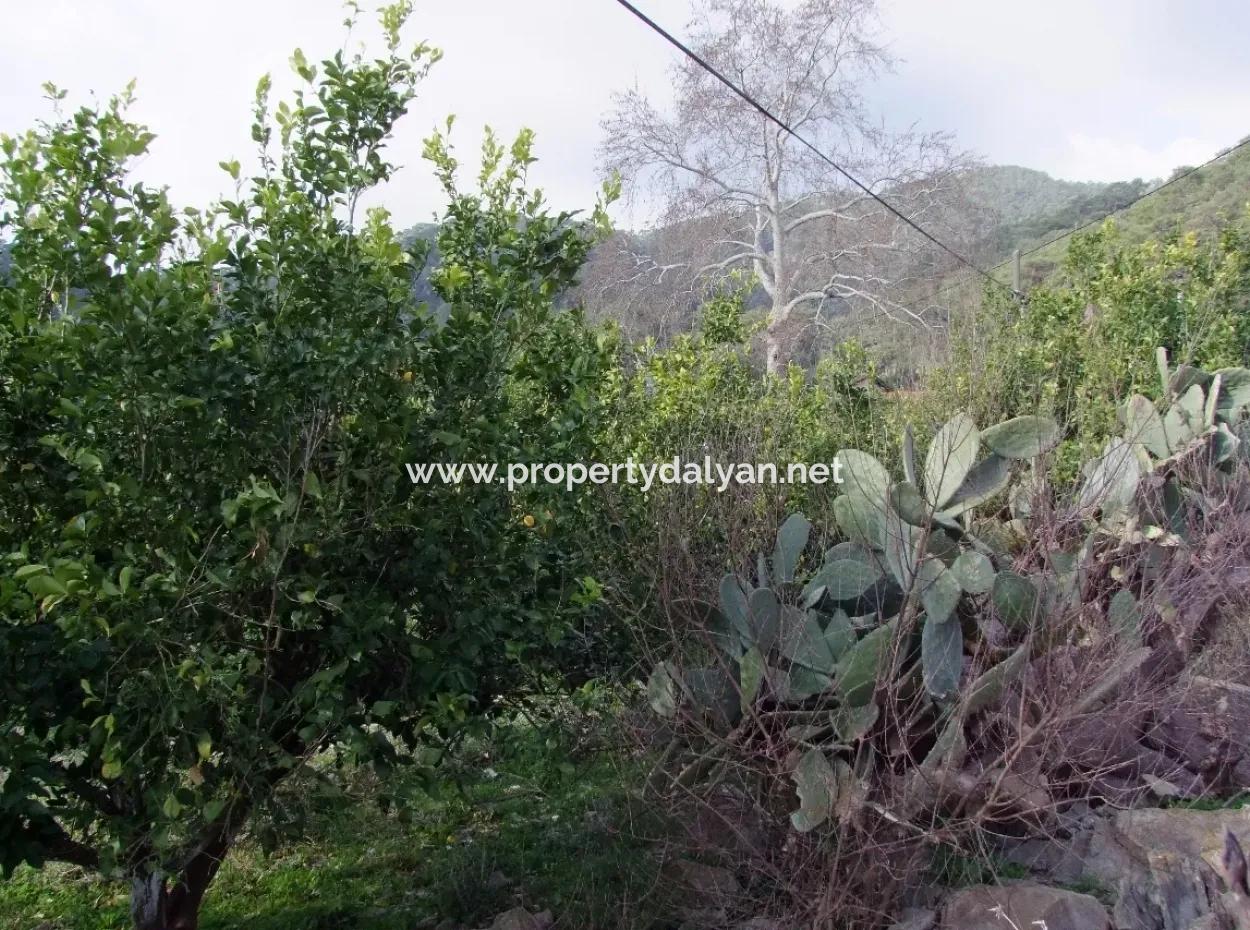 For Sale In Koycegiz, Dalyan Plot For Sale 10629M2