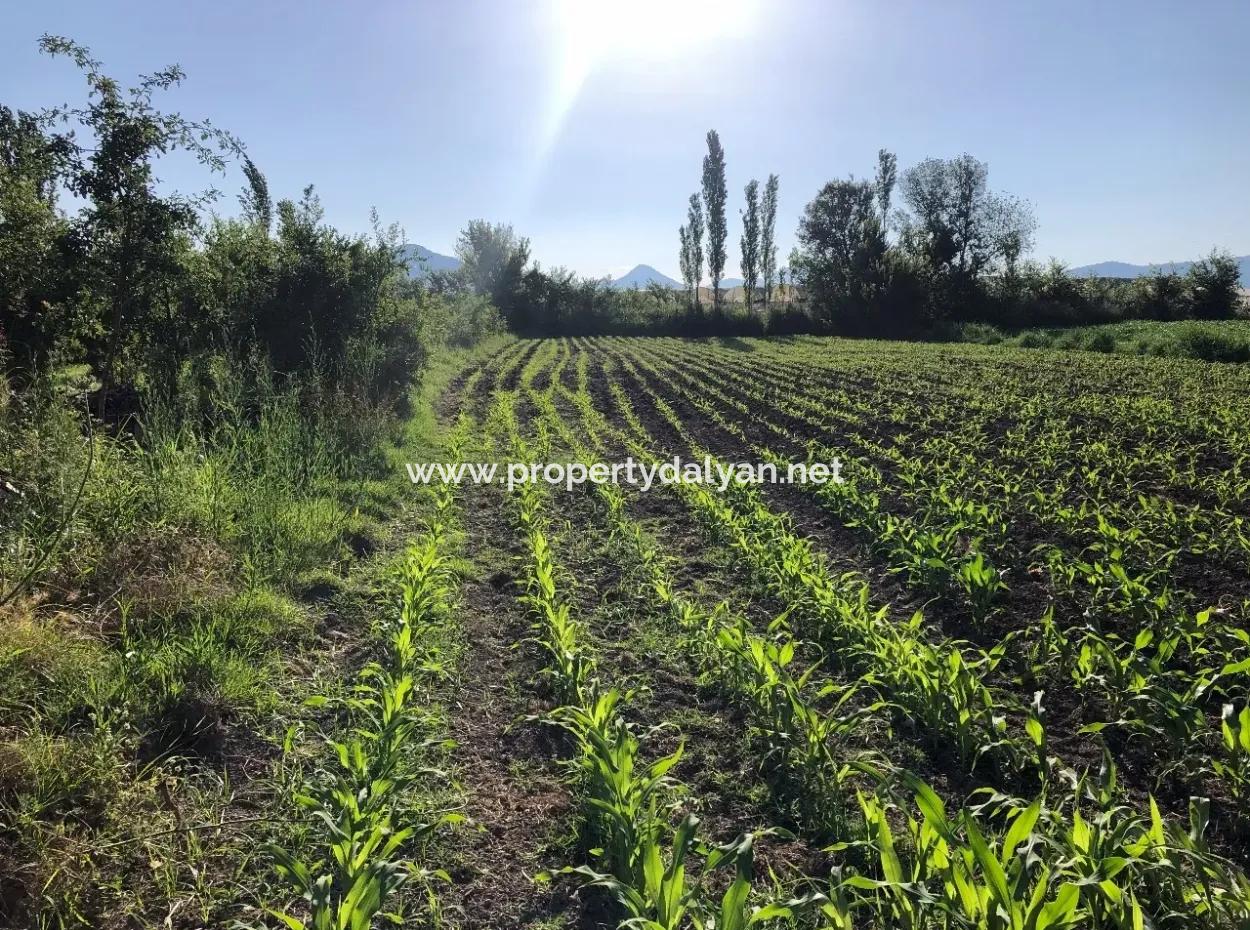 2200M2 Plot For Sale In Dalyan For Sale Dalyan