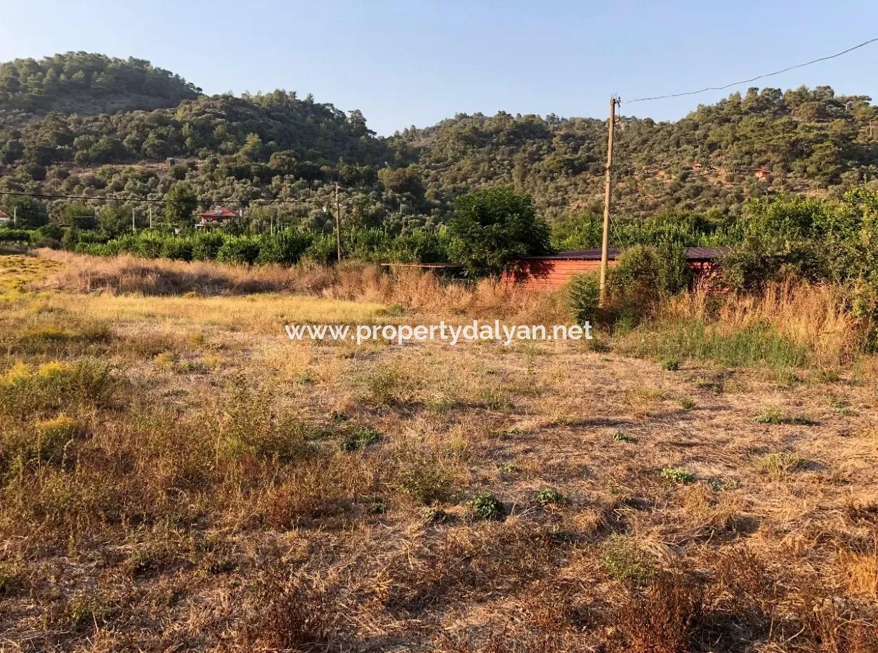 2300M2 Land For Sale Near The Center Of The Land For Sale