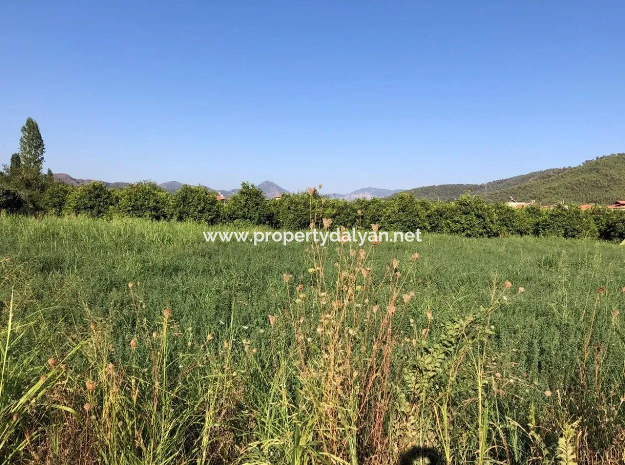 Land For Sale In The Center 891M2 Land For Sale