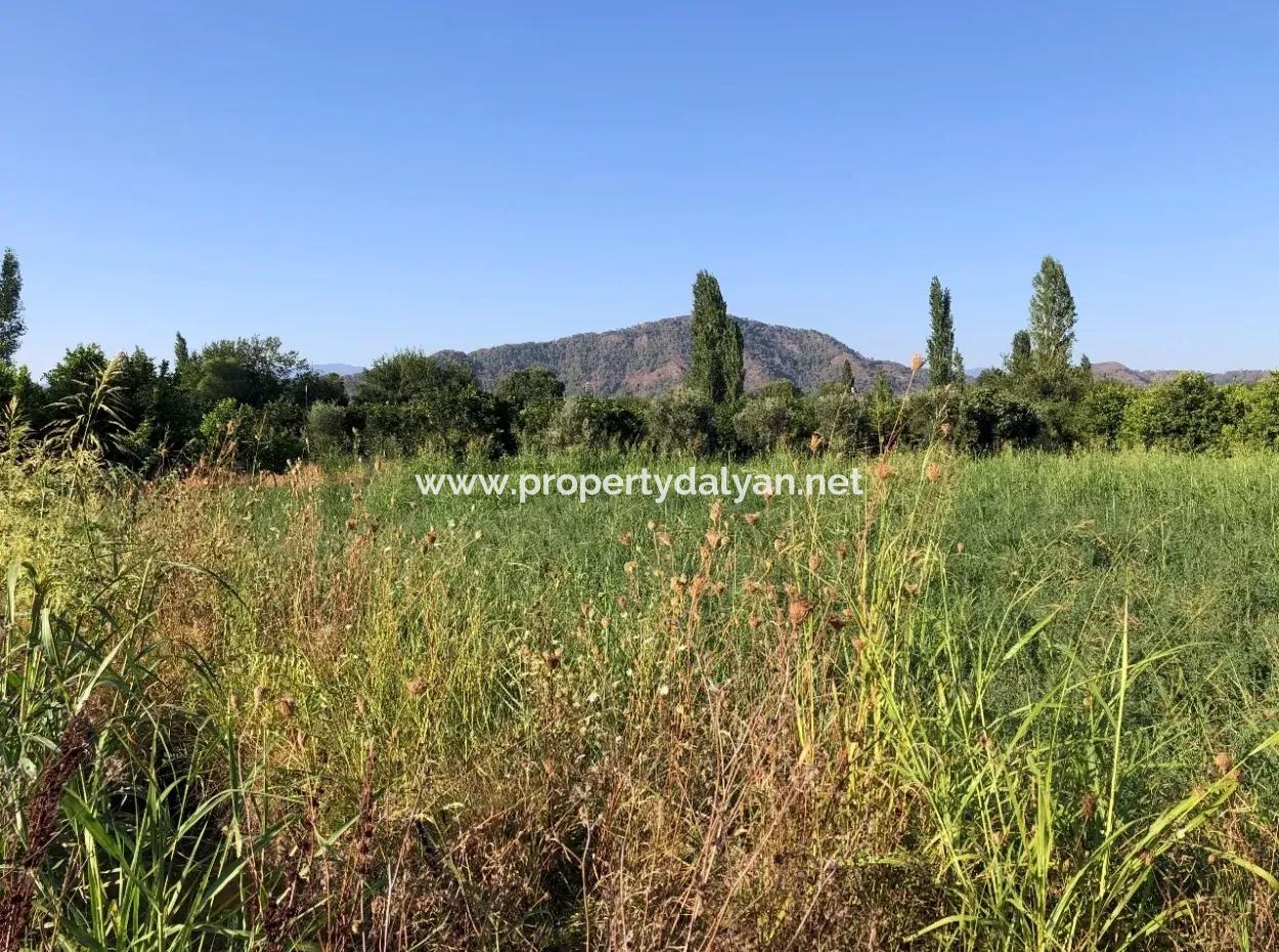 Land For Sale In The Center 891M2 Land For Sale