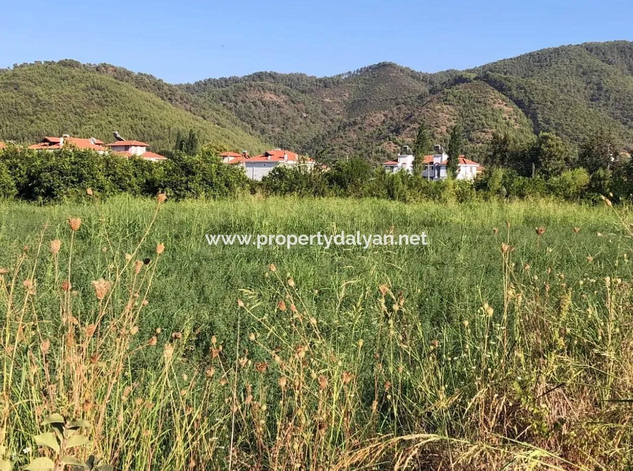 Land For Sale In The Center 891M2 Land For Sale