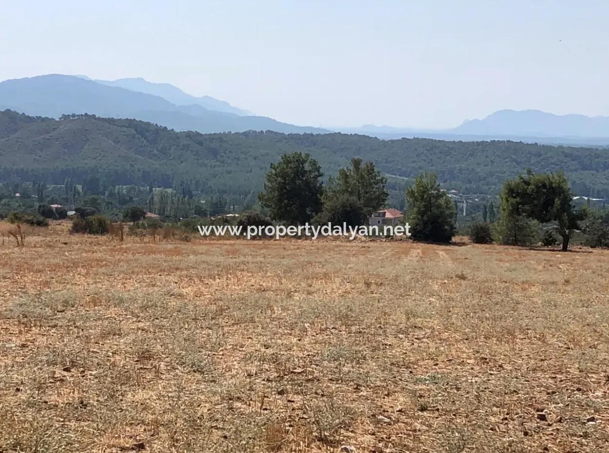 11.227M2 Land For Sale With Lake Views In Köyceğiz Zeytinalanı