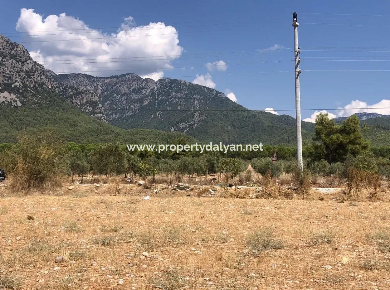 11.227M2 Land For Sale With Lake Views In Köyceğiz Zeytinalanı