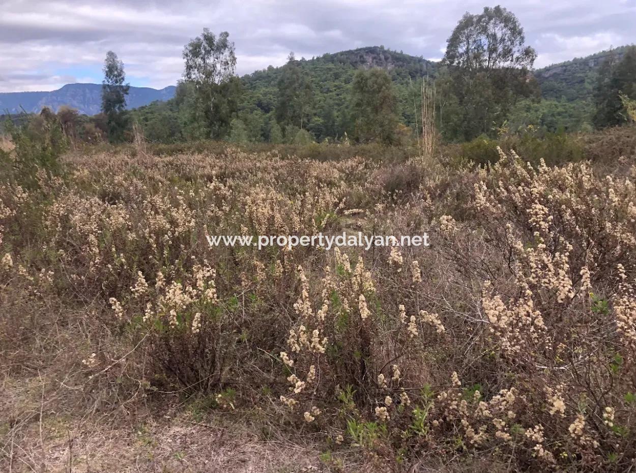 Land  For Sale Zero To Çamlı Canal 28768M2 Land For Sale With Sea View In Camlida