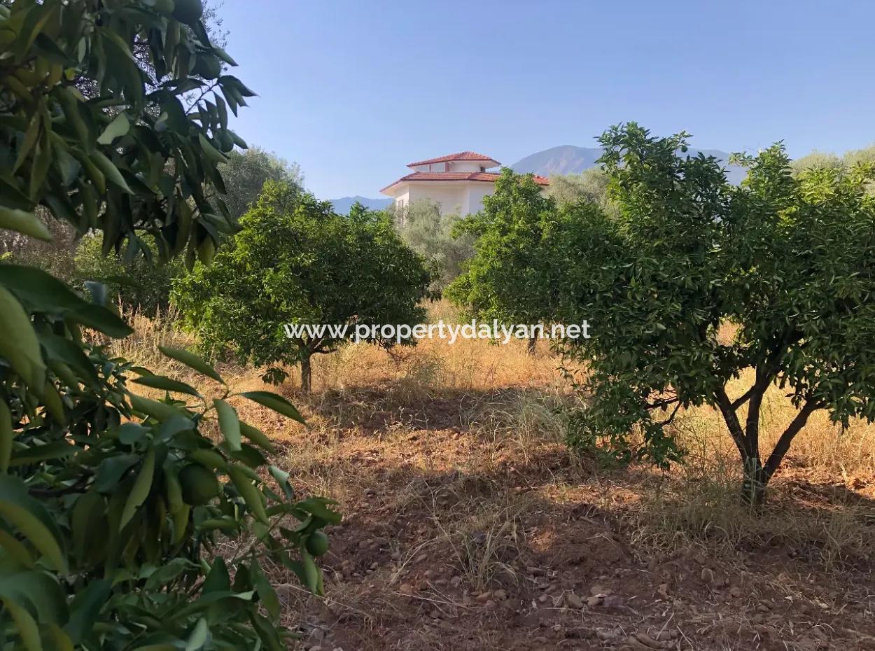 Land Field For Sale In Köyceğinz Yangi 9406M2 Land For Sale