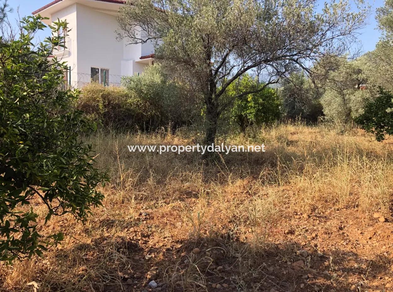 Land Field For Sale In Köyceğinz Yangi 9406M2 Land For Sale