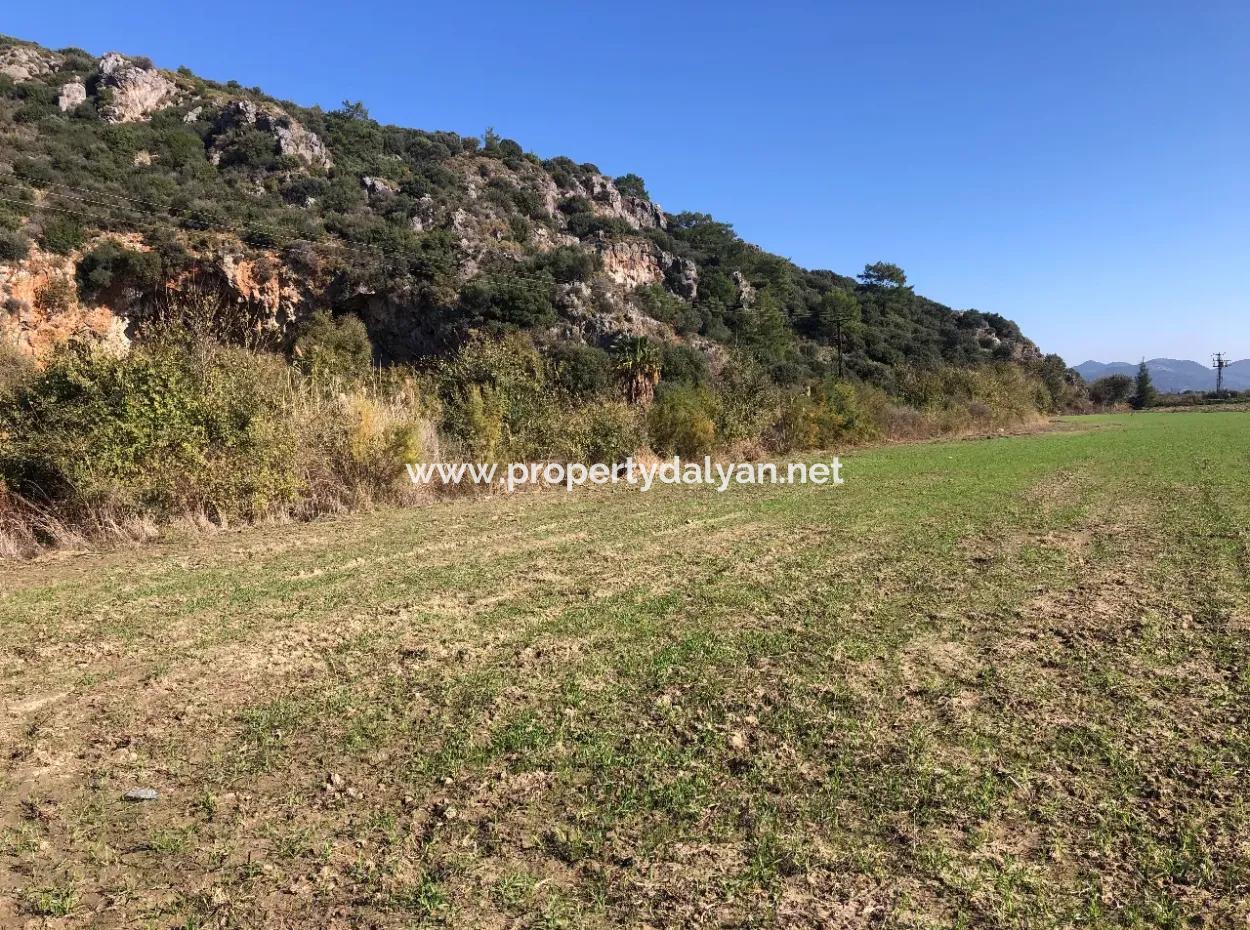 Land For Sale In Sarıgermede 30,000M2 Land For Sale With Sea View