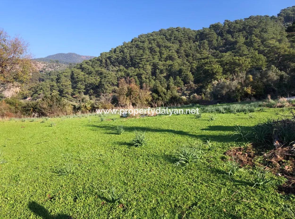 Ekincik Land For Sale 10,038M2 Land For Sale Field
