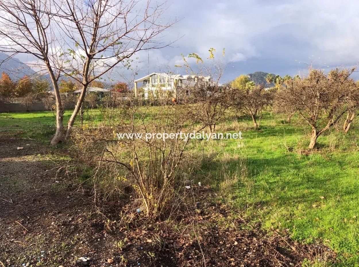Dalyan Land For Sale Near The Center 3000M2 5% Zoning Land For Sale