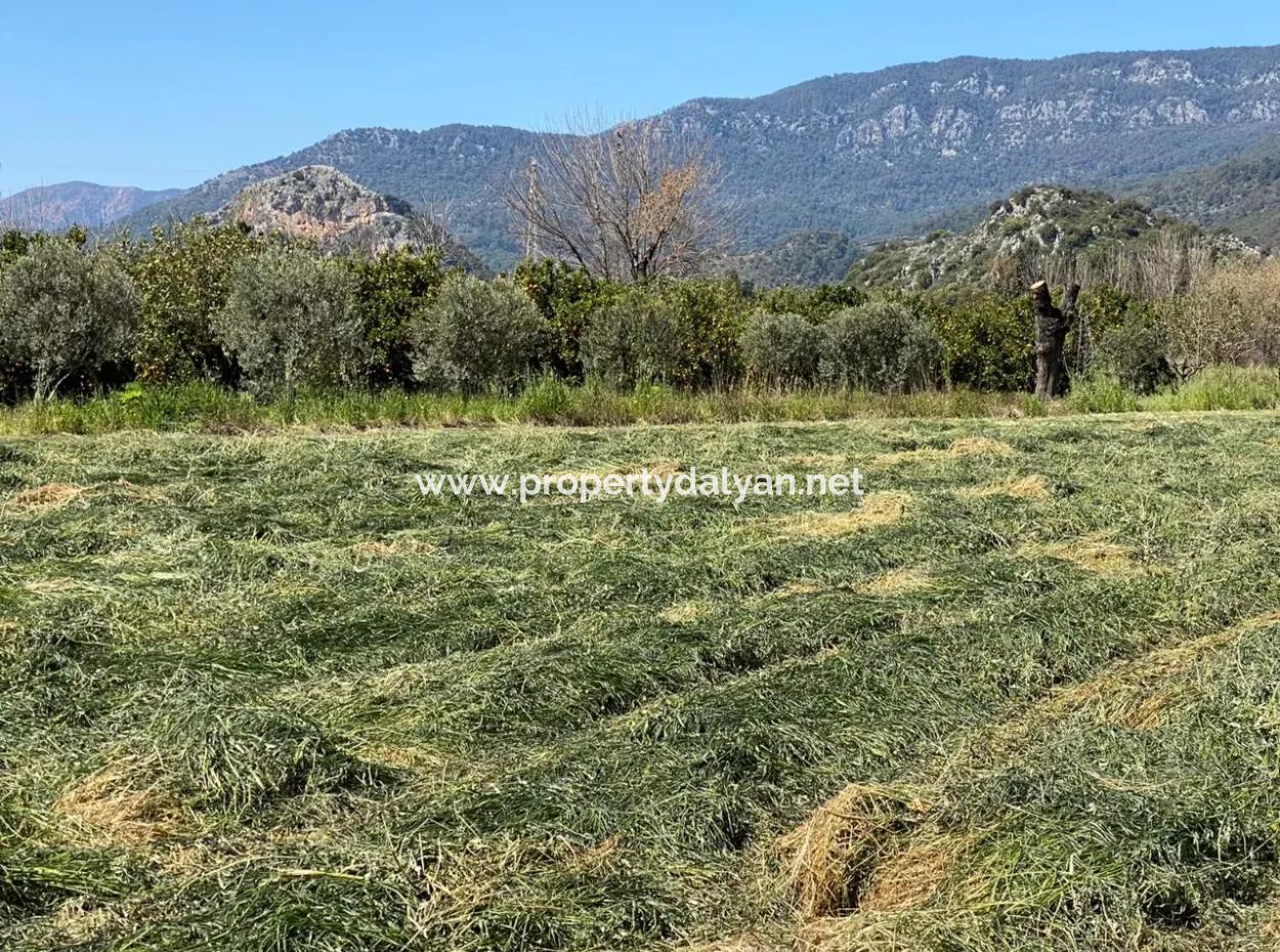 3700M2 Land For Sale In Dalyan