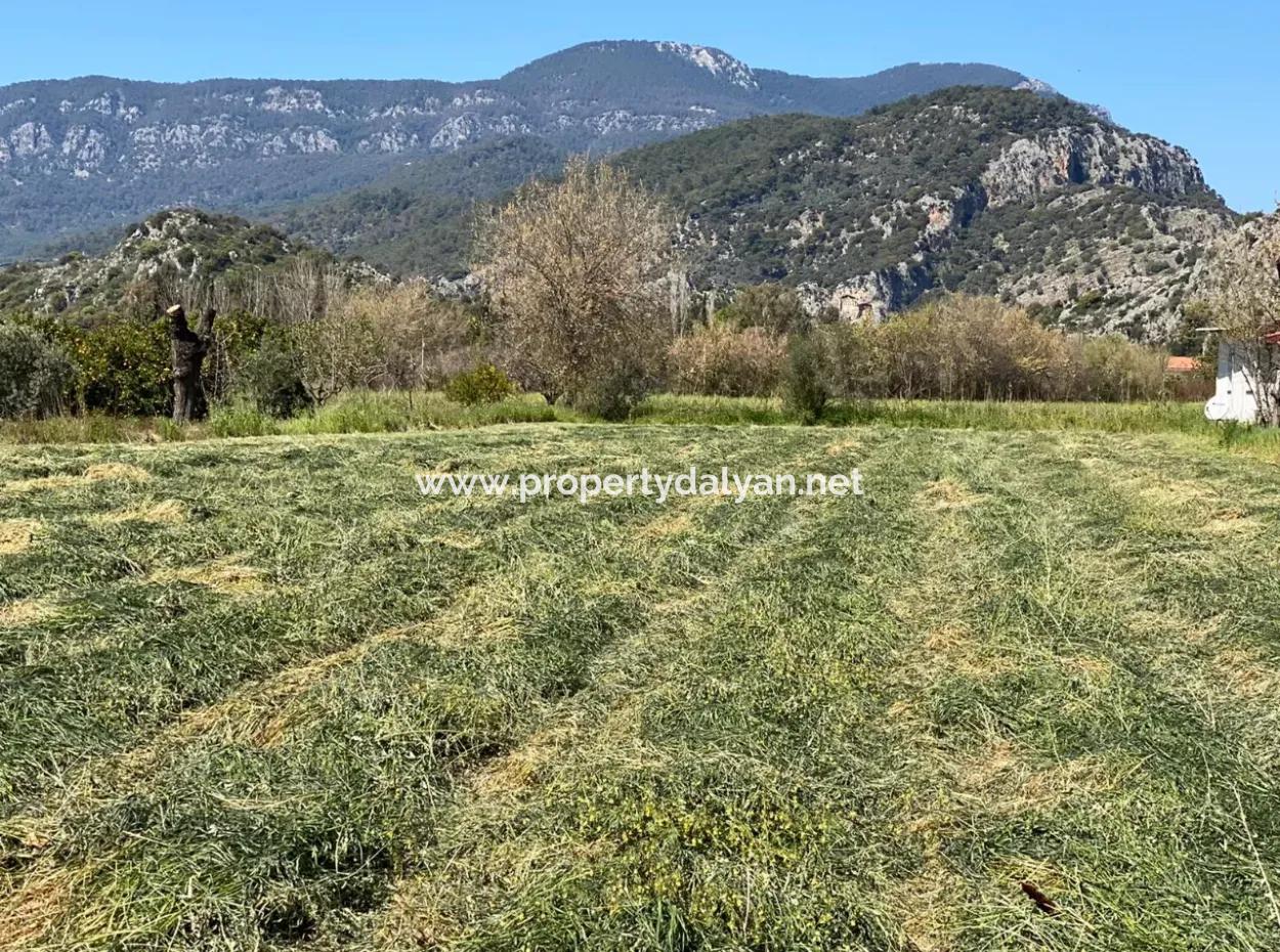 3700M2 Land For Sale In Dalyan