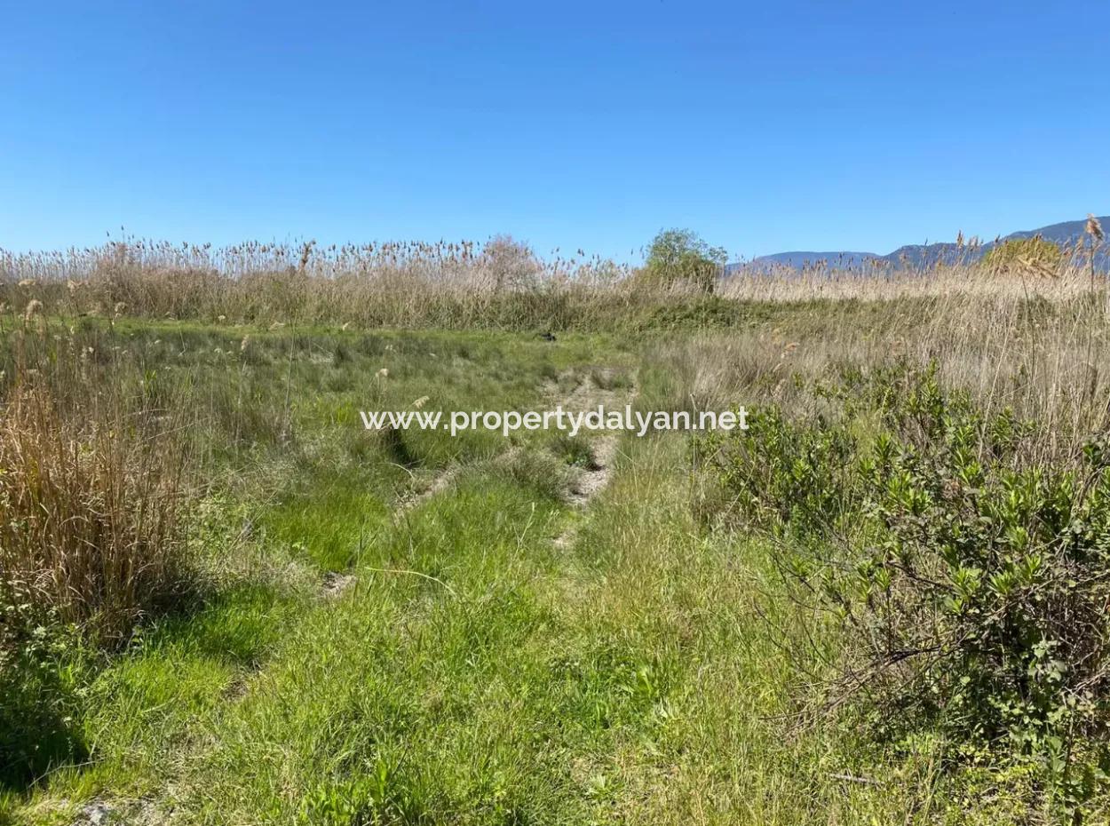 9310M2 Land For Sale In Dalyan