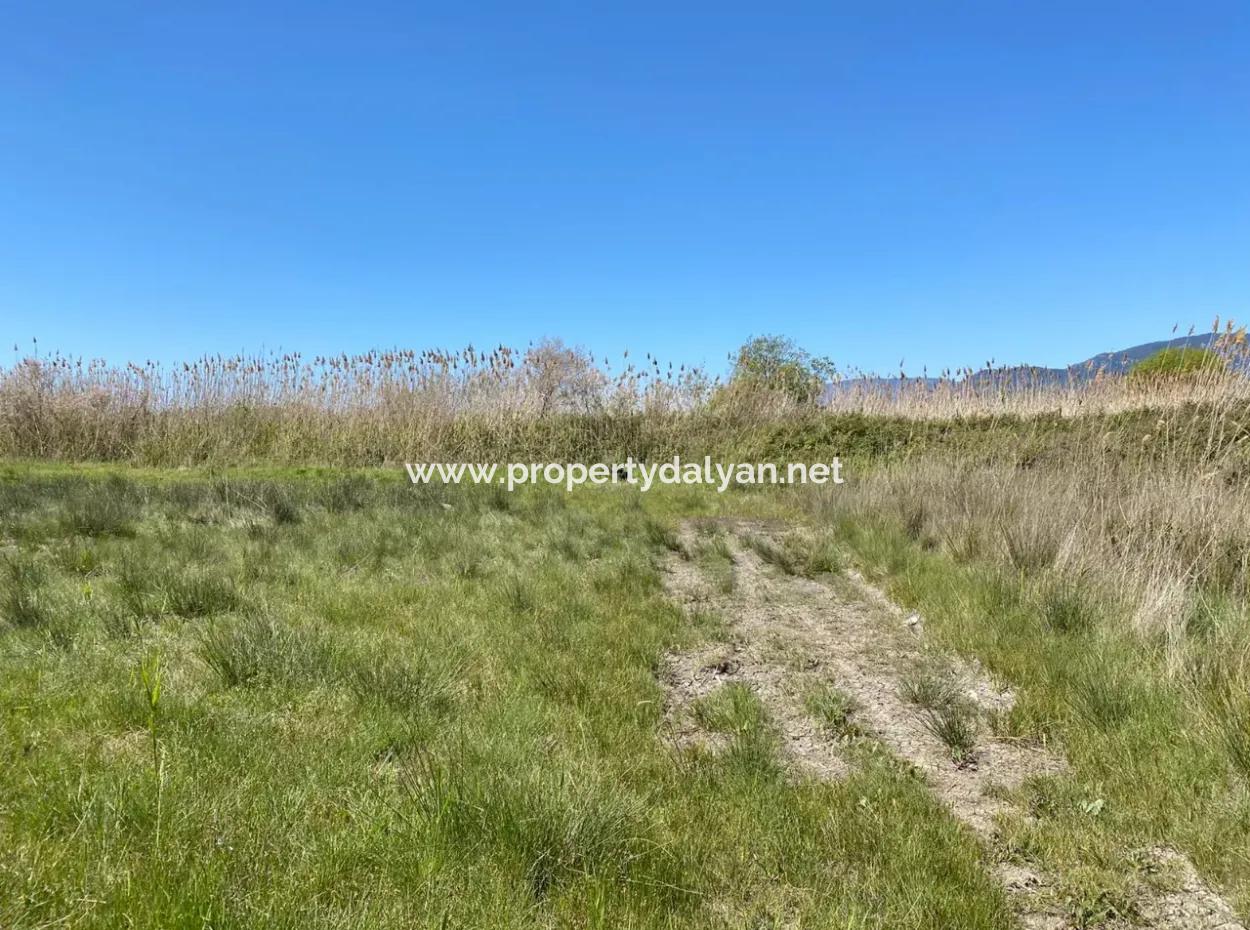 9310M2 Land For Sale In Dalyan